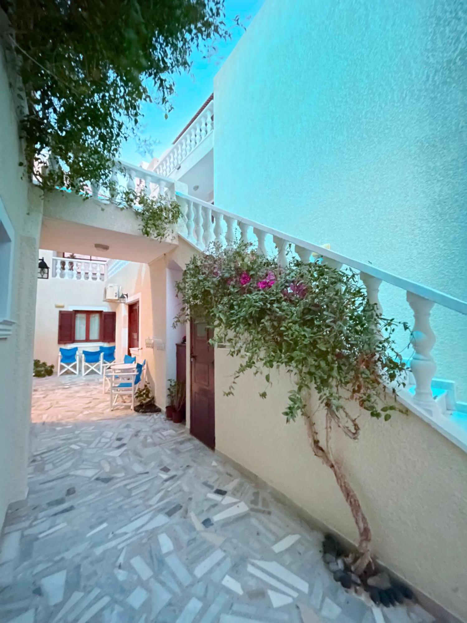 Villa Dima بيريسا المظهر الخارجي الصورة